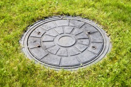 Drain cover.